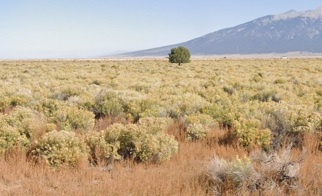 e05c26be084865b1c5bb97086c7e7b6a